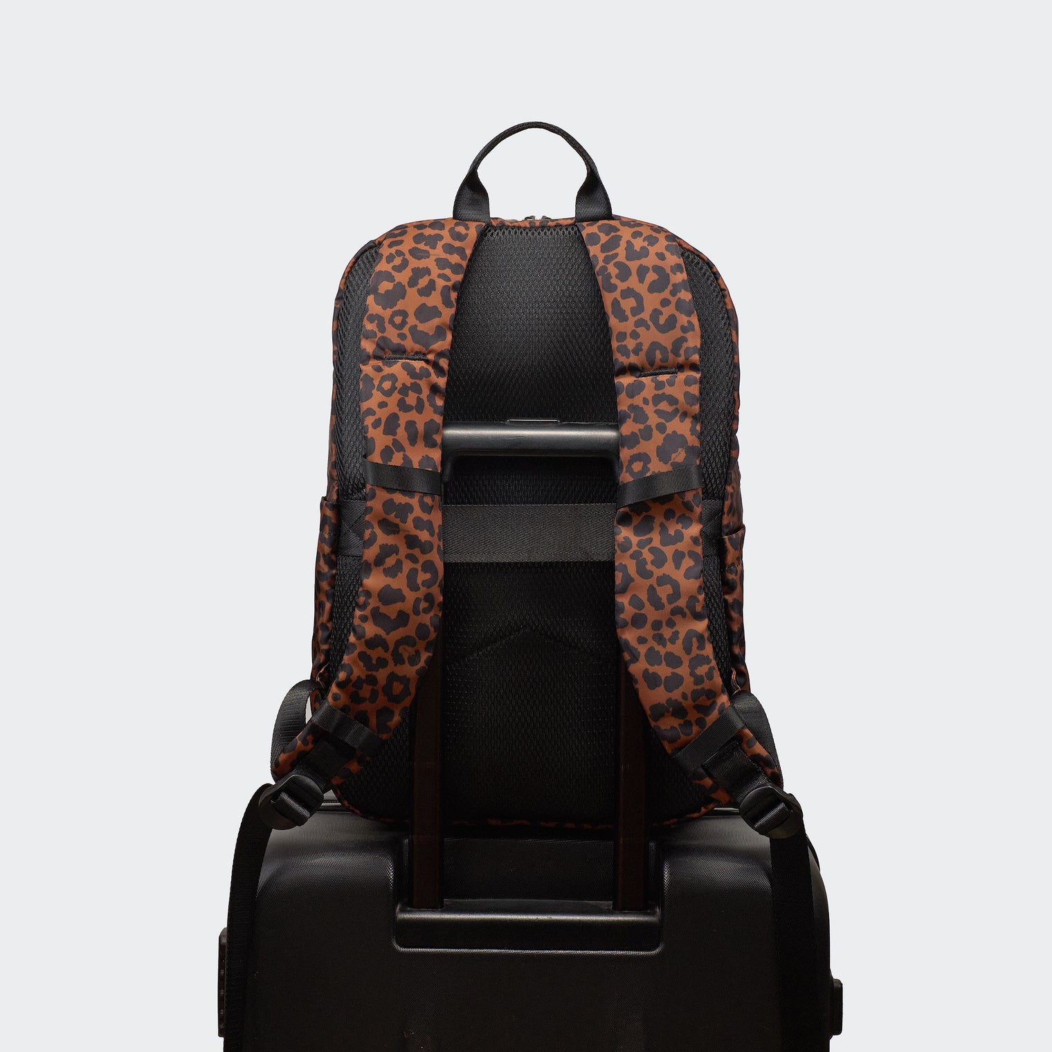 Pander 22L Midnight Leopard backpack rear luggage sleeve on suitcase handle