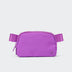 Pander 1L double zipper water-repellent nylon belt bag in Violet, product view 1